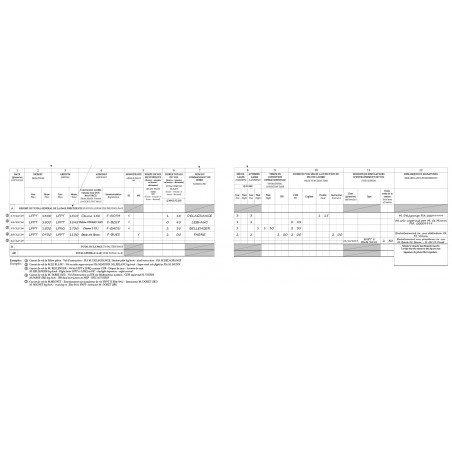 Carnet de vol - Pilot logbook (Avion et ULM classe 3 multiaxe) version bistre